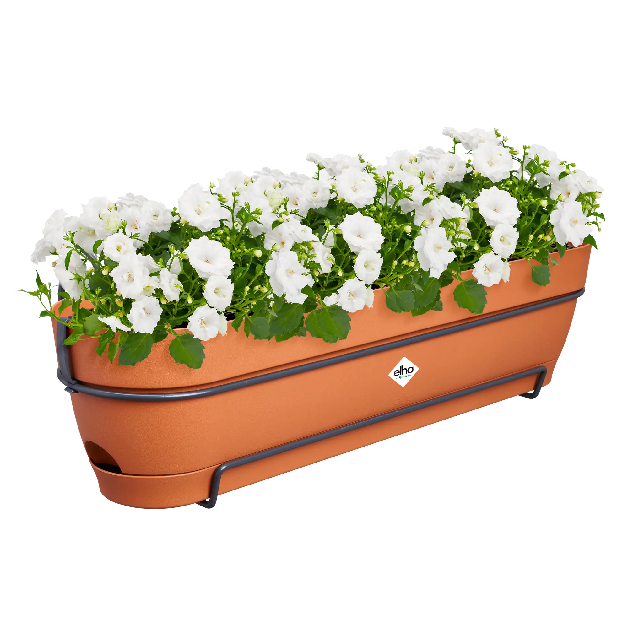 elho® Balkonkasten Vibia Campana ALLin1 70cm terra