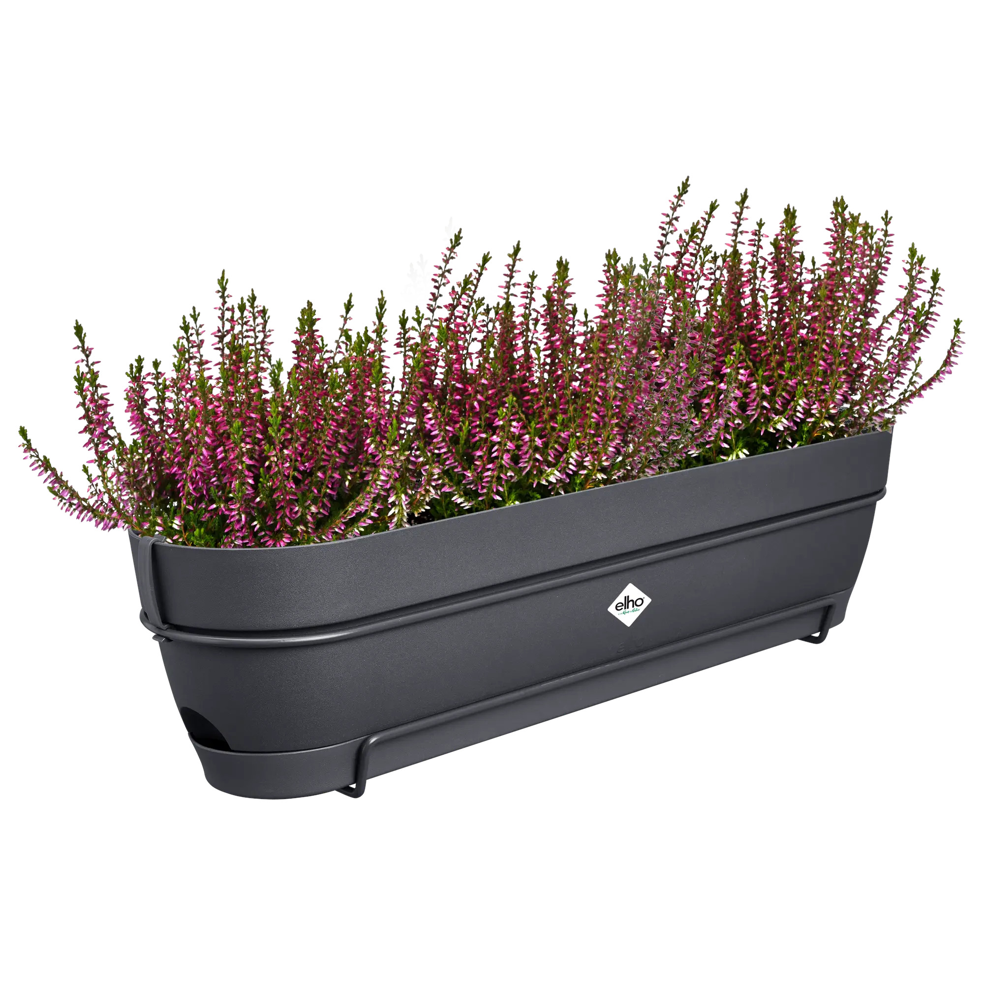 elho® Balkonkasten Vibia Campana ALLin1 70cm anthrazit