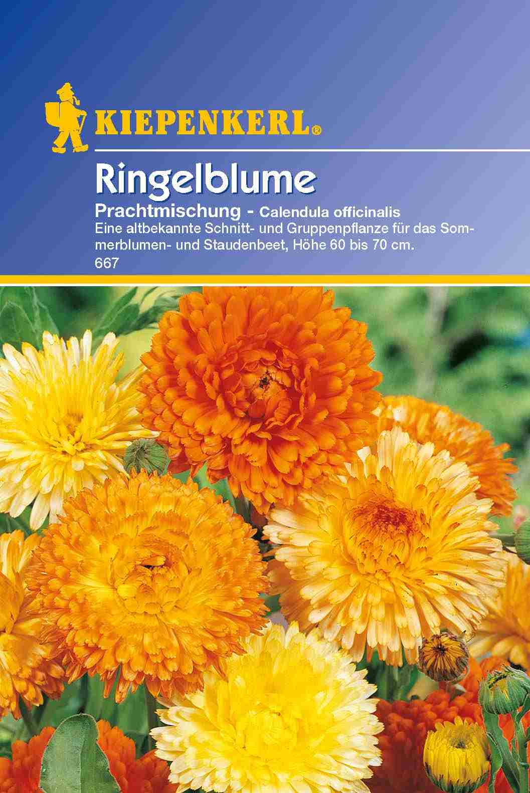 Saatgut Ringelblumen Prachtmischung