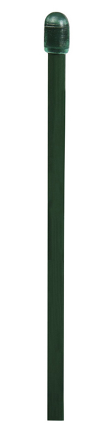 Floraworld® Spannstab grün 6mm 1550mm