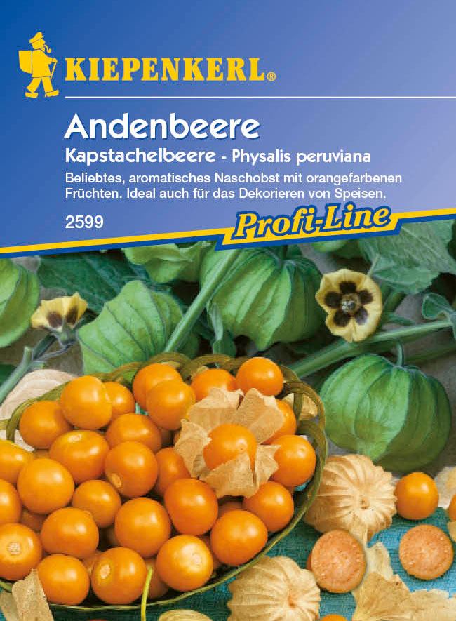 Saatgut Andenbeeren-Saatgut Andenbeere