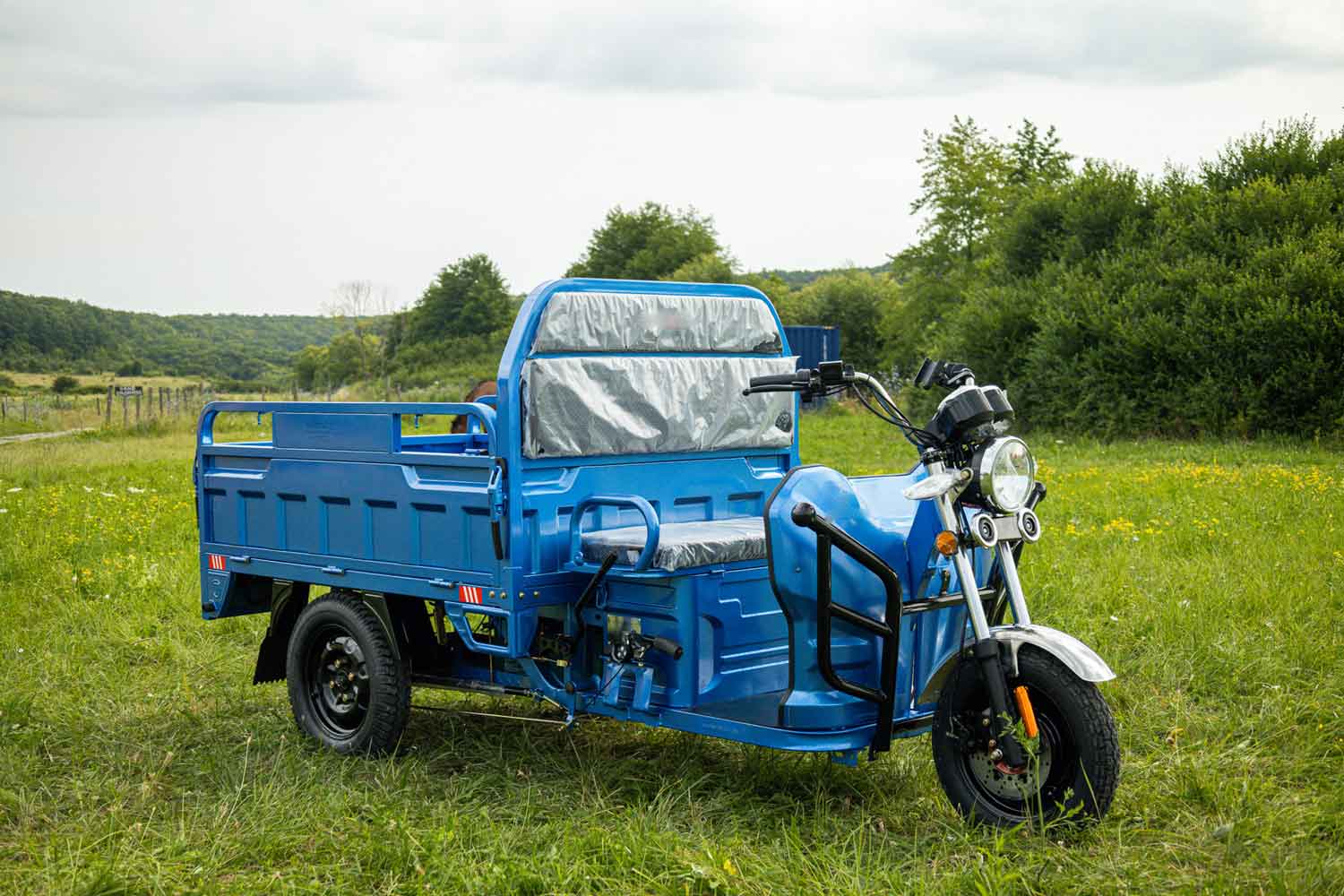 Cargo Muli 350 Cargo Runn E Lastentransporter Dreirad blau