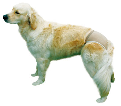 Schutzhöschen / Läufigkeitshöschen de Luxe TRIXIE Größe S/1 beige
