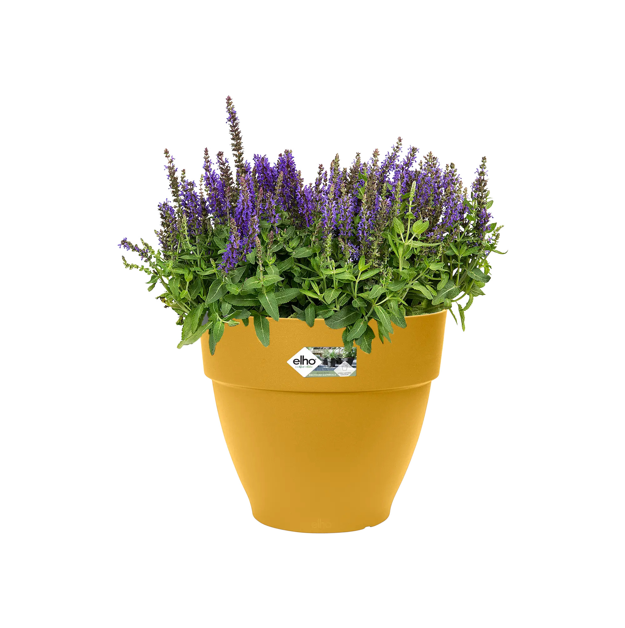 elho@ Blumentopf Vibia Campana Rund 30cm honig gelb