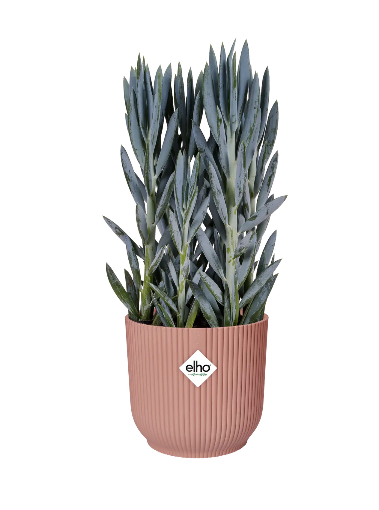 elho® Blumentopf Vibes Fold Rund Rollen 35cm zartrosa