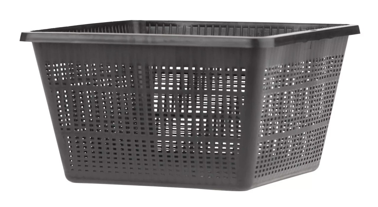 Oase Pflanzkorb viereckig 23 x 23 cm, schwarz
