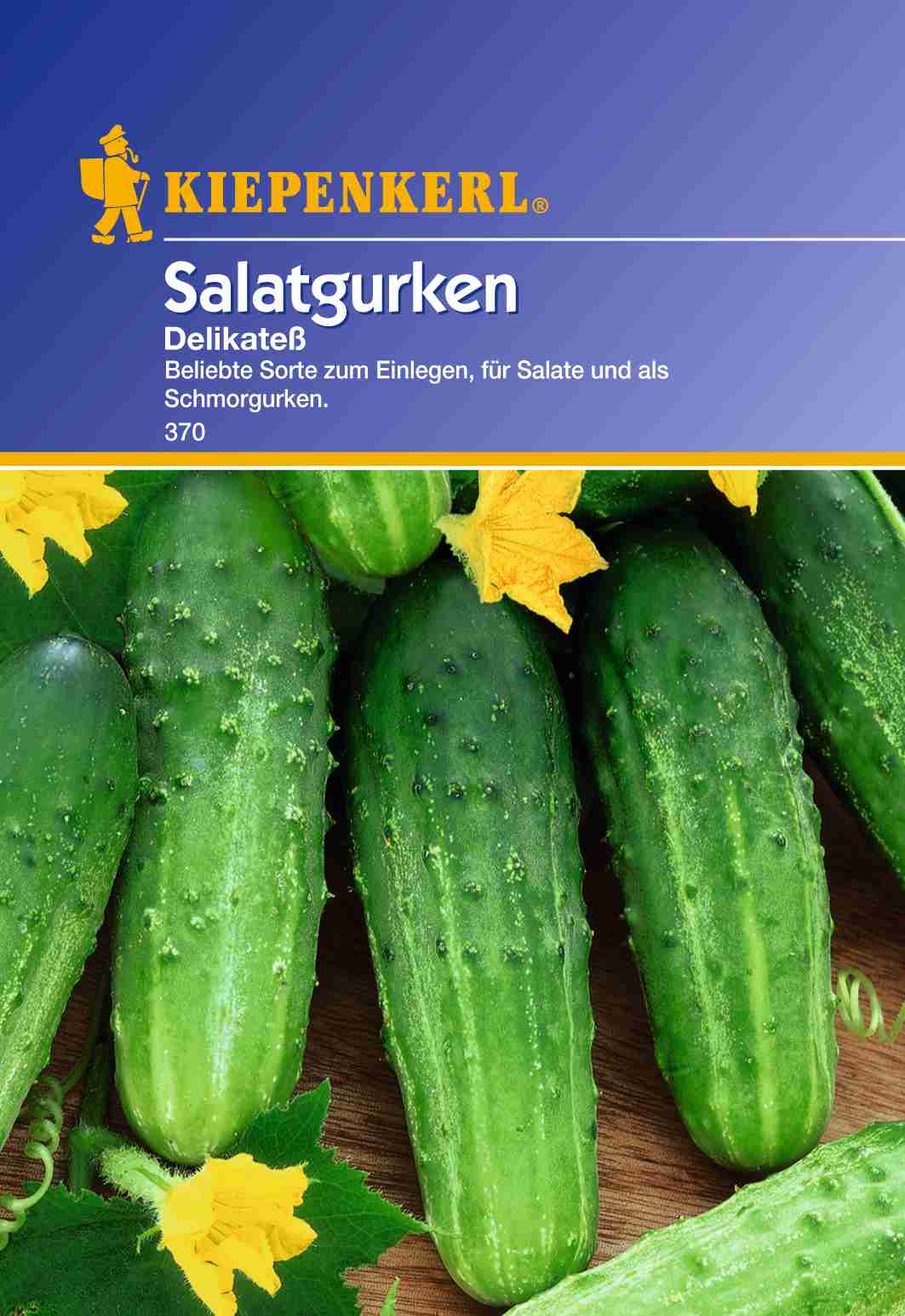 Saatgut Gurken Landgurken Delikateß