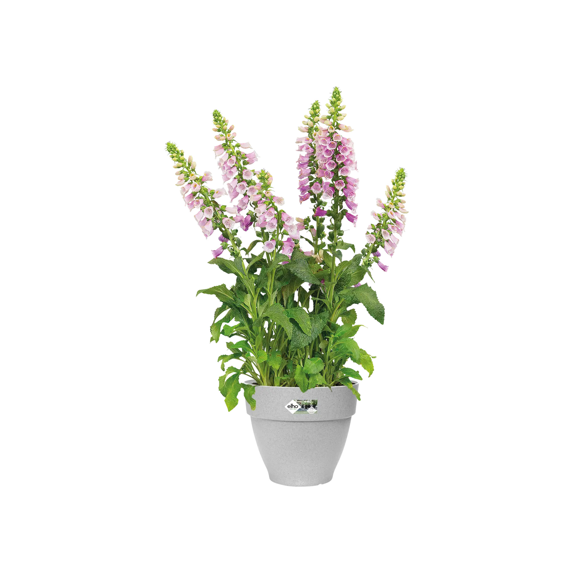 elho@ Blumentopf Vibia Campana Rund 25cm living beton