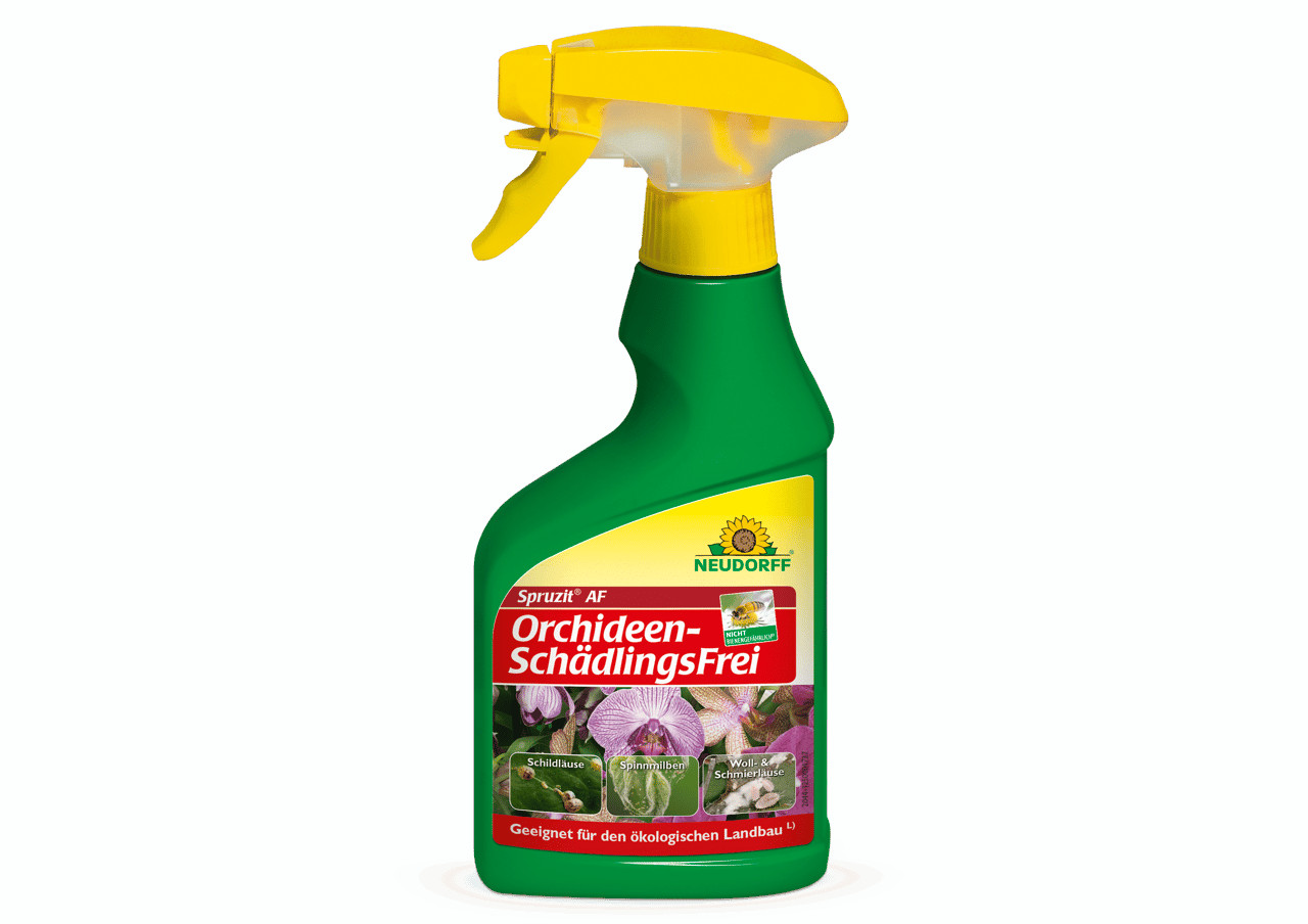 Neudorff Spruzit AF Orchideen Schädlings­Frei 250 ml