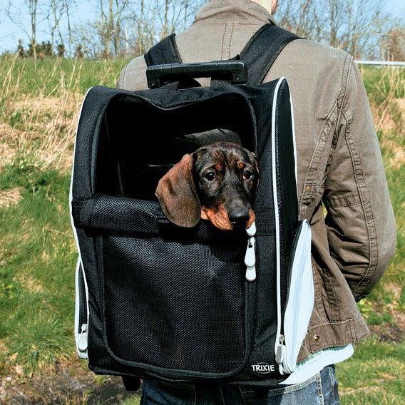 Trolley Tbag Rucksack Trixie 36x50x27cm