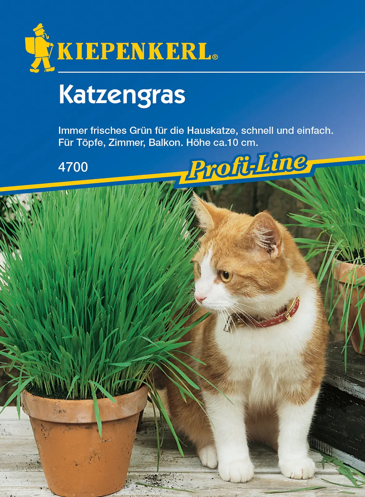 Kiepenkerl® Prifi-Line Katzengrassamen