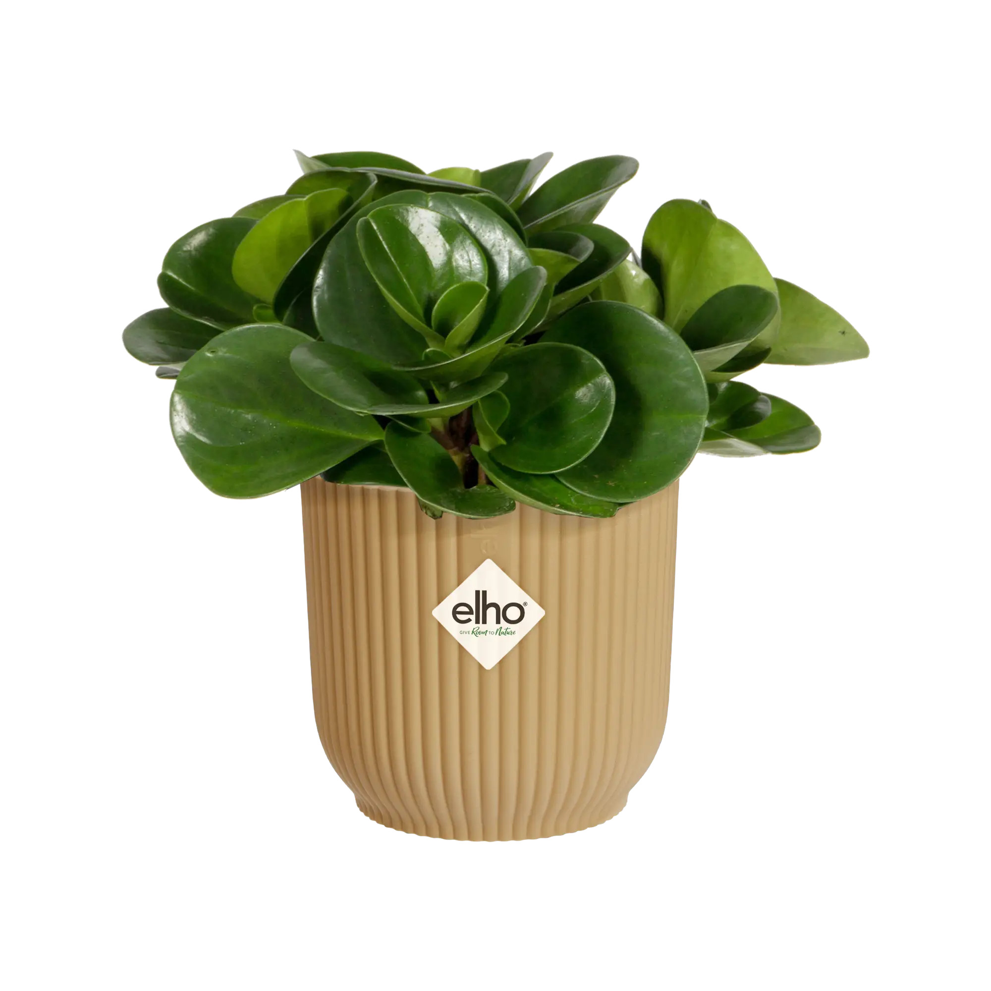 elho® Blumentopf Vibes Fold Rund Mini 11cm buttergelb