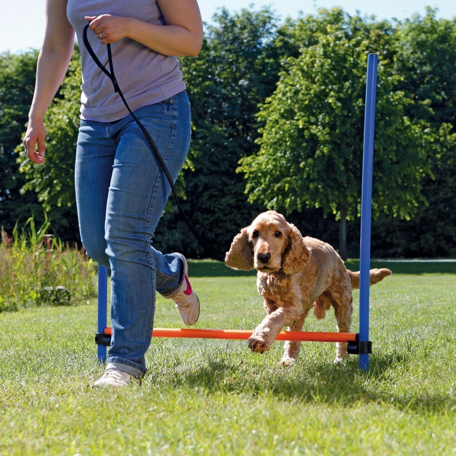 Agility Gerät Hürde TRIXIE 123 x 115 x Ø 3 cm