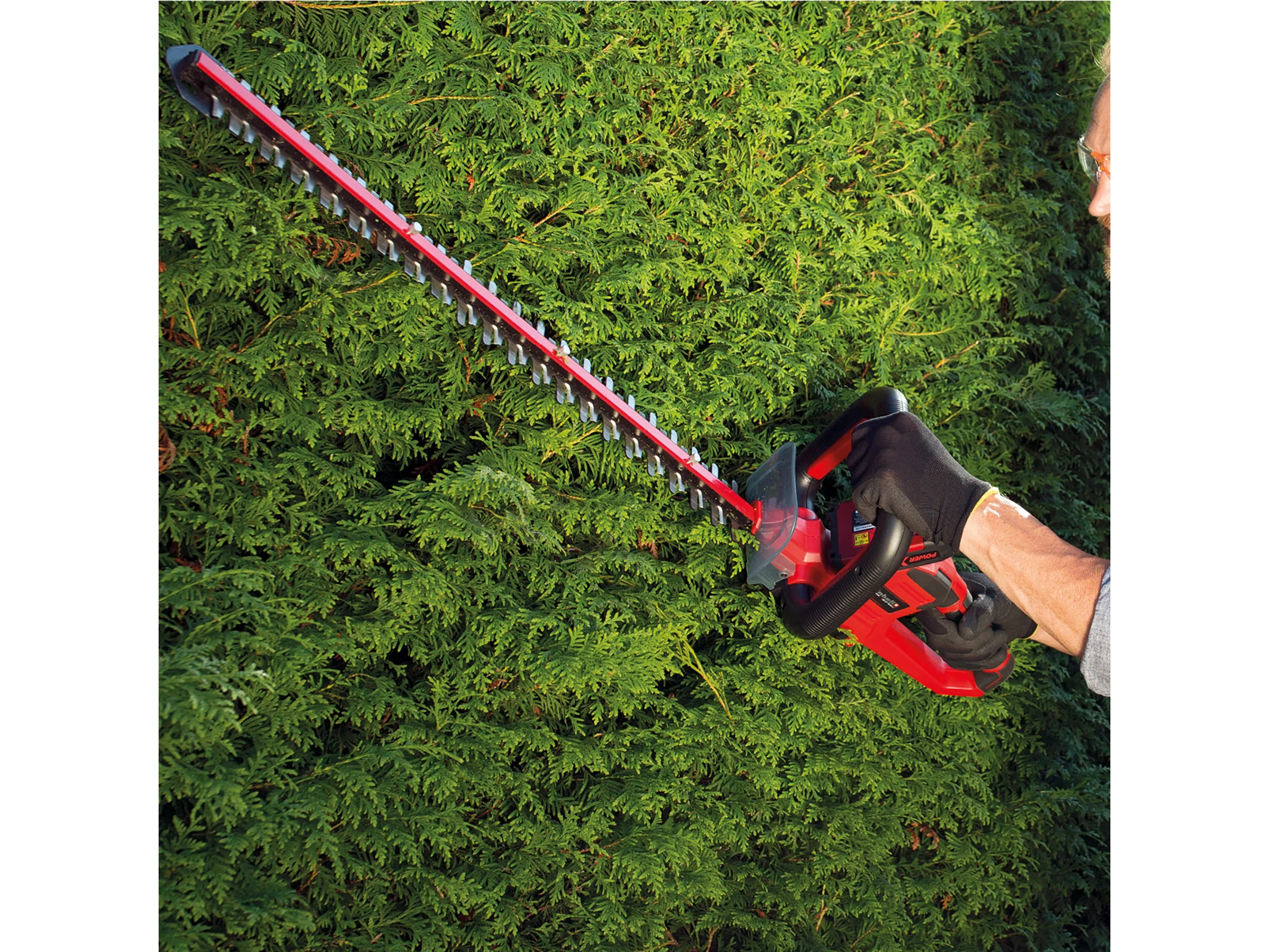 Einhell Power X-Change Akku-Heckenschere Arcurra 18/55
