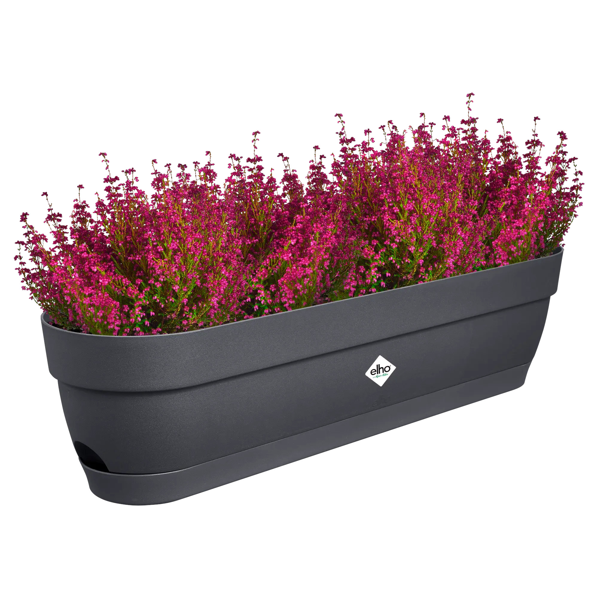 elho® Balkonkasten Vibia Campana 70cm anthrazit