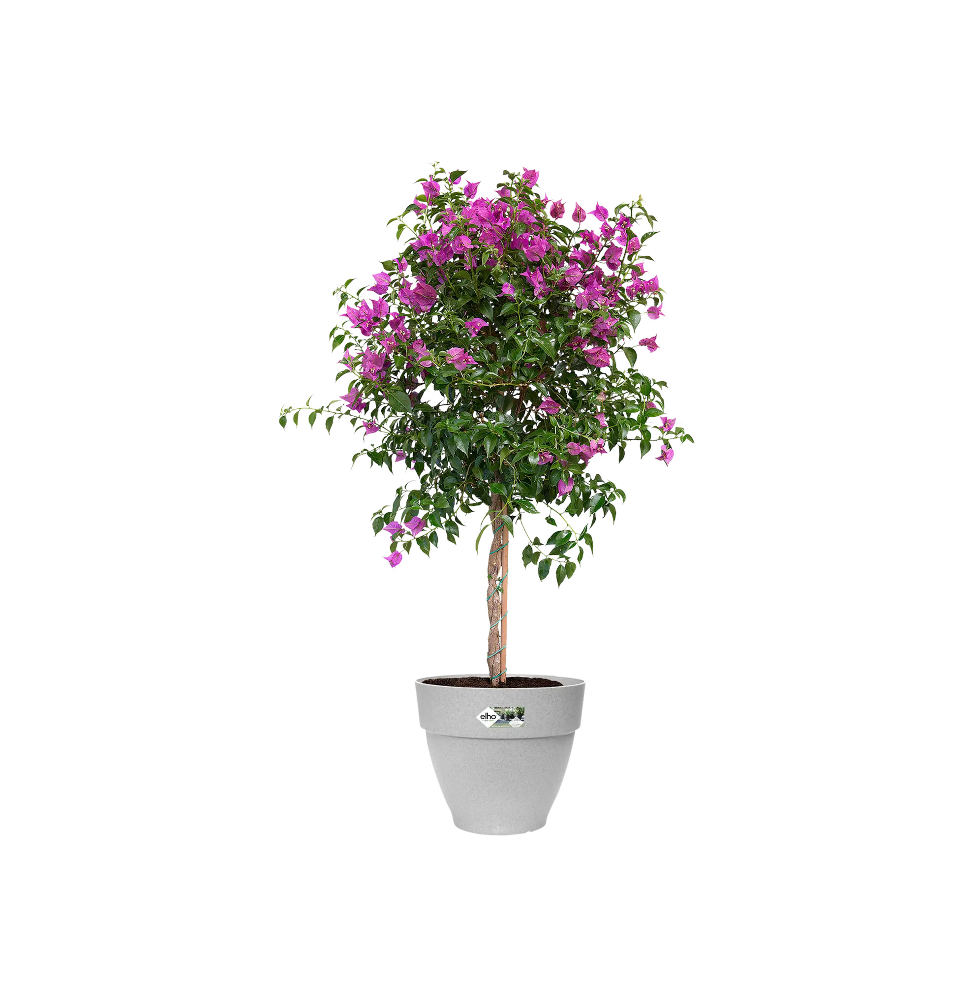 elho@ Blumentopf Vibia Campana Rund 47cm living beton
