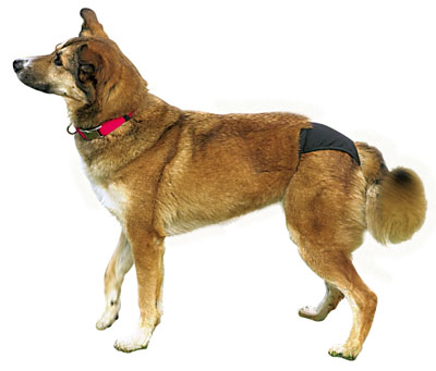 Schutzhöschen / Läufigkeitshöschen de Luxe TRIXIE Größe S-M/2 schwarz