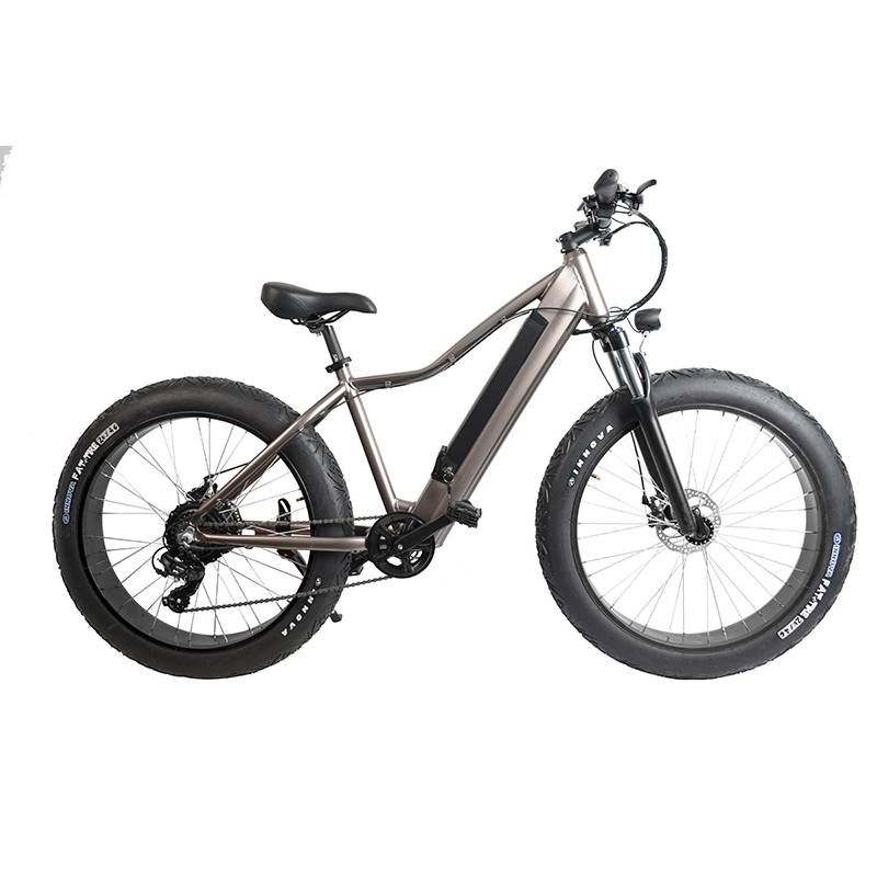 Elektro Fatbike, Elektro Fahrrad, Mountainbike, Fat Tiere Subcross 500