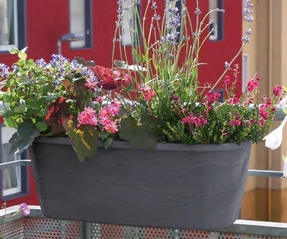 Blumenkasten Maya / Komplettset mit Halterung 50cm anthrazit