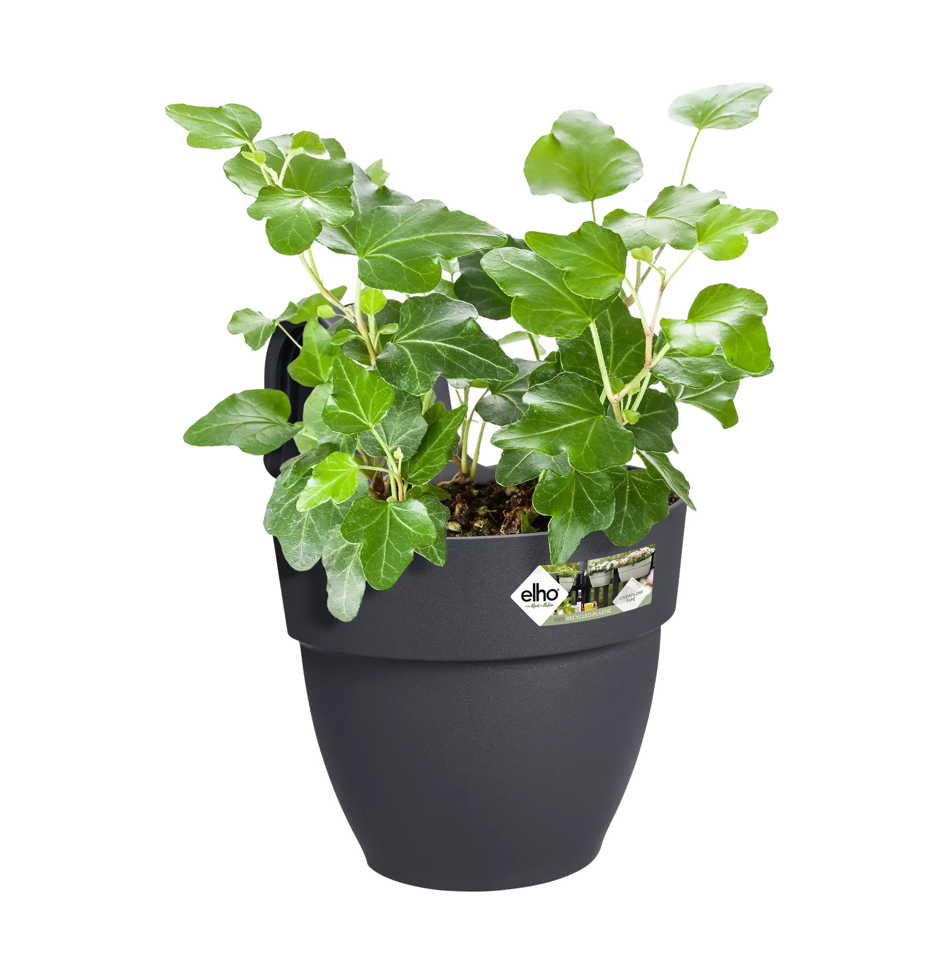 elho® Balkonkasten Vibia Campana Easy Hanger Small anthrazit