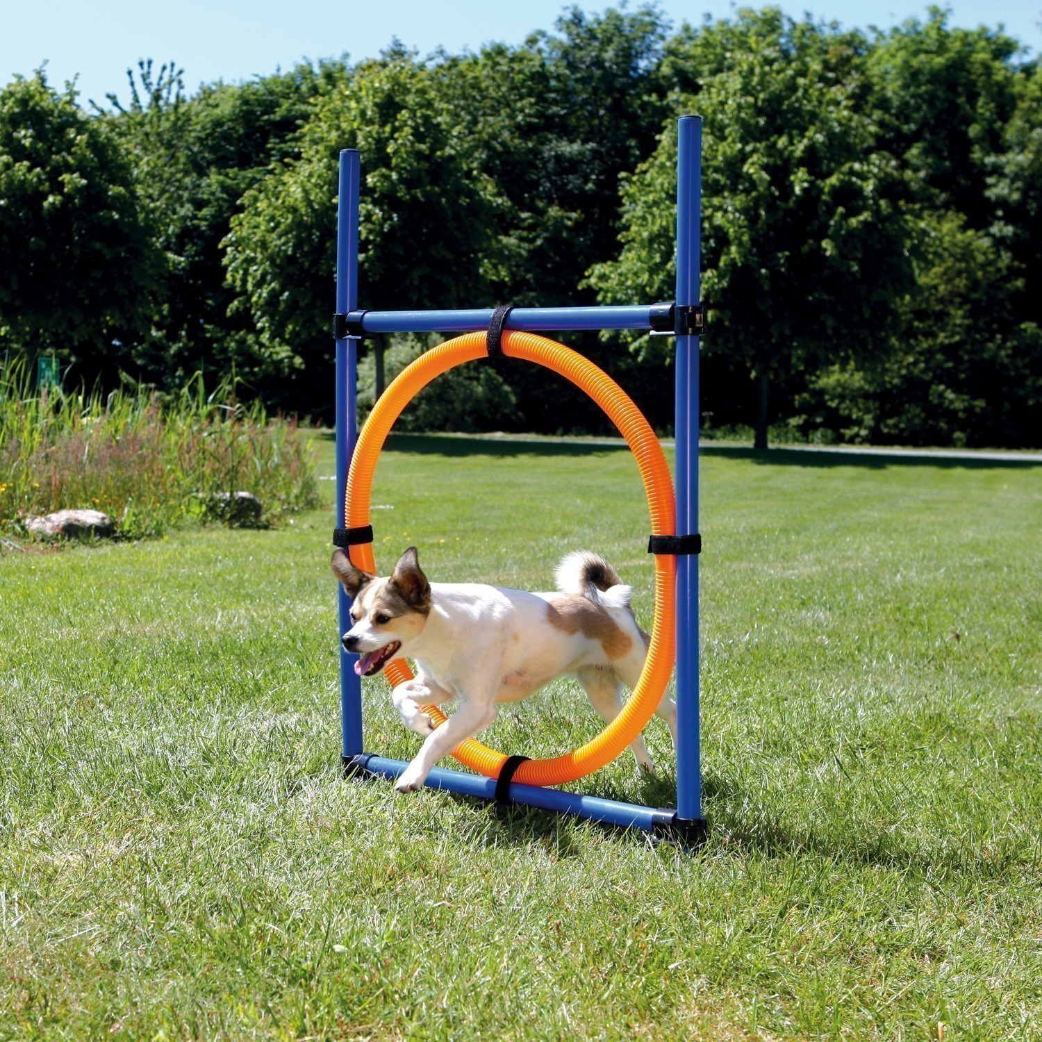 Agility Gerät Ring TRIXIE 115 x Ø 65 cm