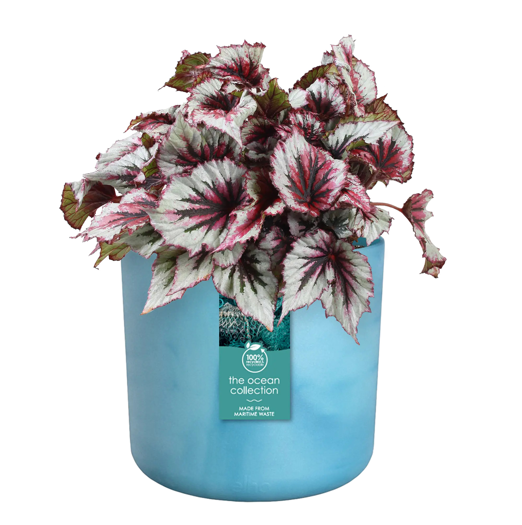 elho® Blumentopf The Ocean Collection Rund 14cm atlantikblau
