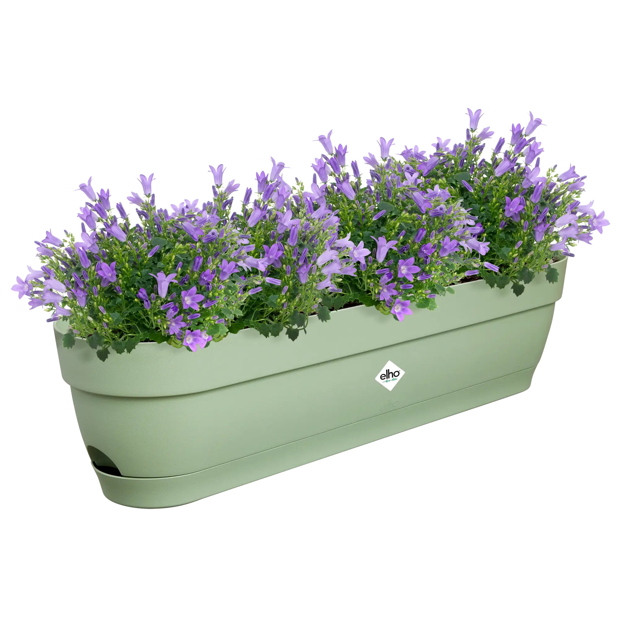 elho® Balkonkasten Vibia Campana 70cm pistazien grün
