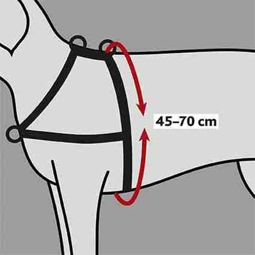 Trainingsgeschirr Lead'n'Walk Soft S-M 45-70 cm schwarz