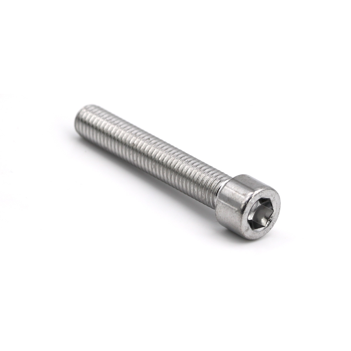 Rolektro Schraube M10 x 60 für Joy20/20Li/45/Jack20/20Li/45