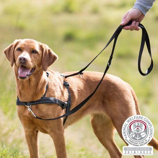 Trainingsgeschirr Lead'n'Walk Soft S-M 45-70 cm schwarz
