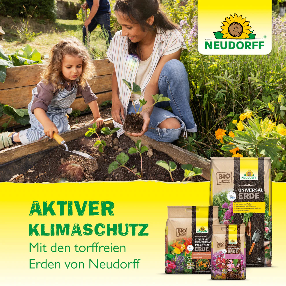Neudo­Hum Kakteen & Sukkulenten­Erde