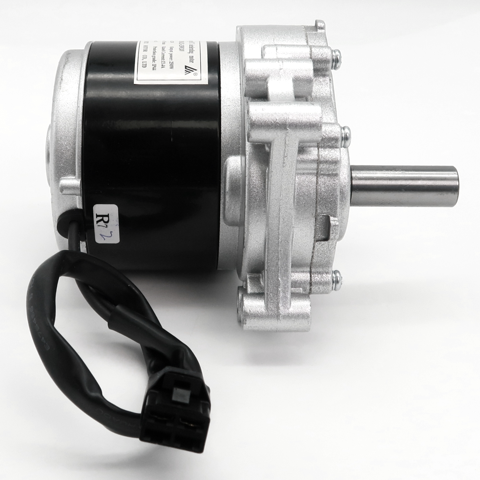 Rolektro Motor 250W, rechts für ERS-6Li