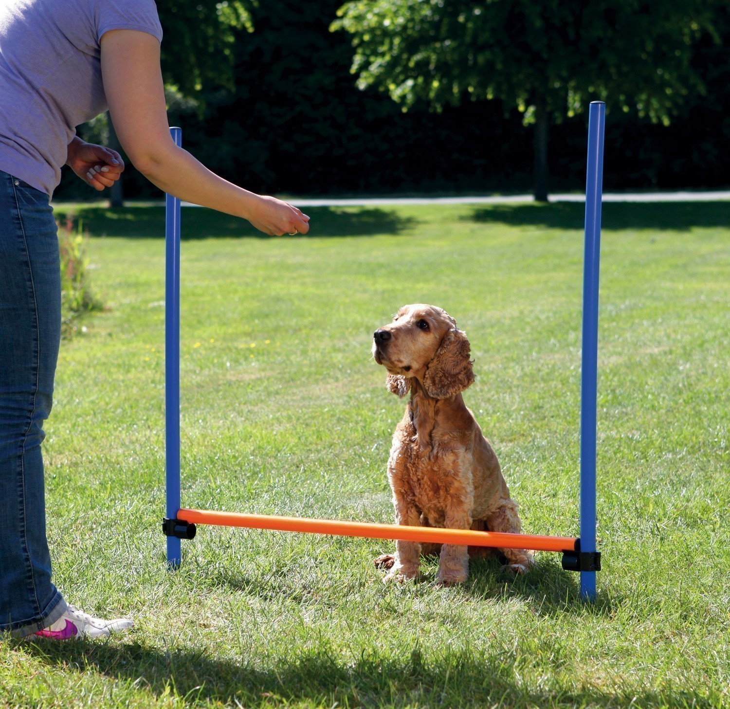 Agility Gerät Hürde TRIXIE 123 x 115 x Ø 3 cm