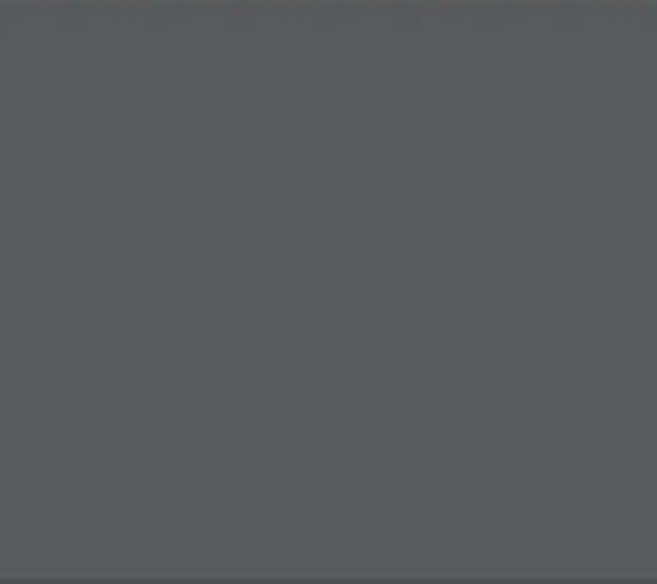 Wilckens® Sockel und Dachfarbe Schiefer 5L