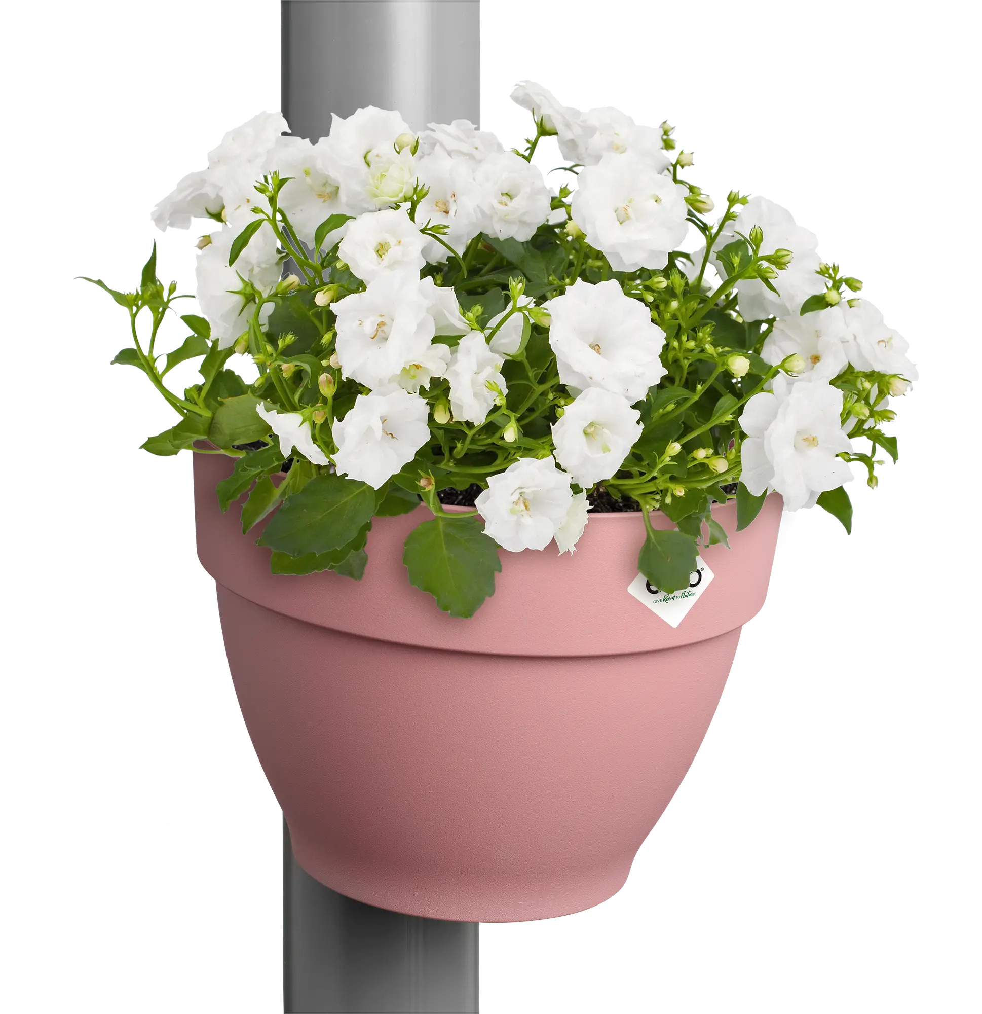 elho® Blumentopf Fallrohrpflanzgefäss Vibia Campana puderrosa