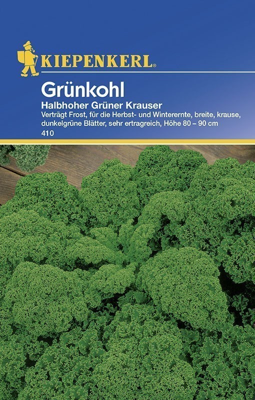 Kiepenkerl Saatgut Grünkohl / Halbhoher Grüner Krauser