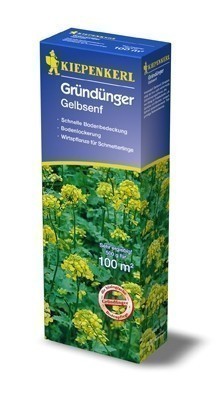 Gründünger-Saaten Gelbsenf, 500 g Sinapsis alba