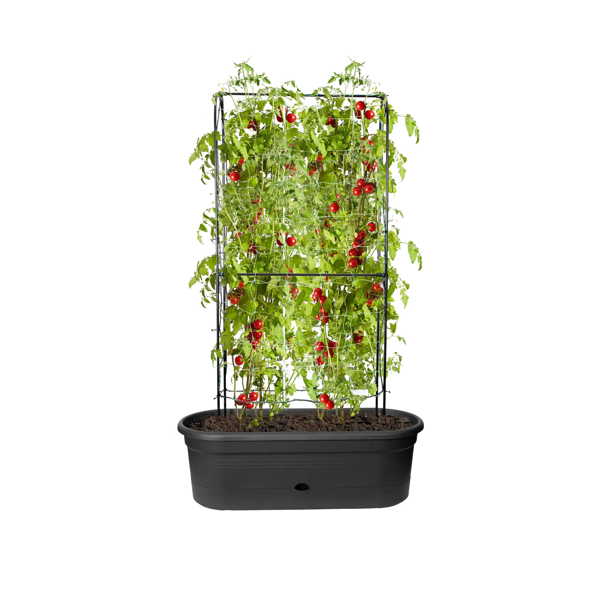 elho® Green Basics Veggie Wall 80cm living schwarz