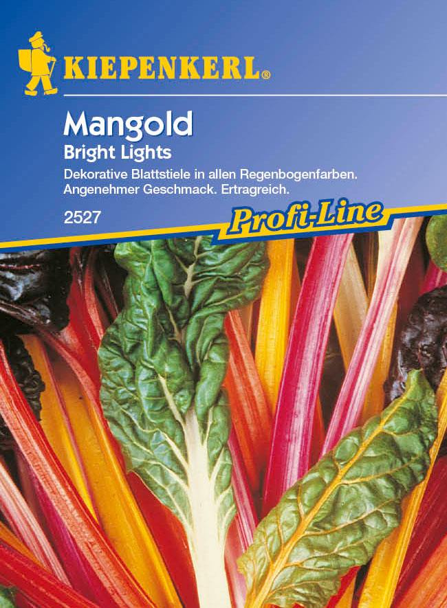 Saatgut Mangold Bunter Mangold 'Bright Lights'