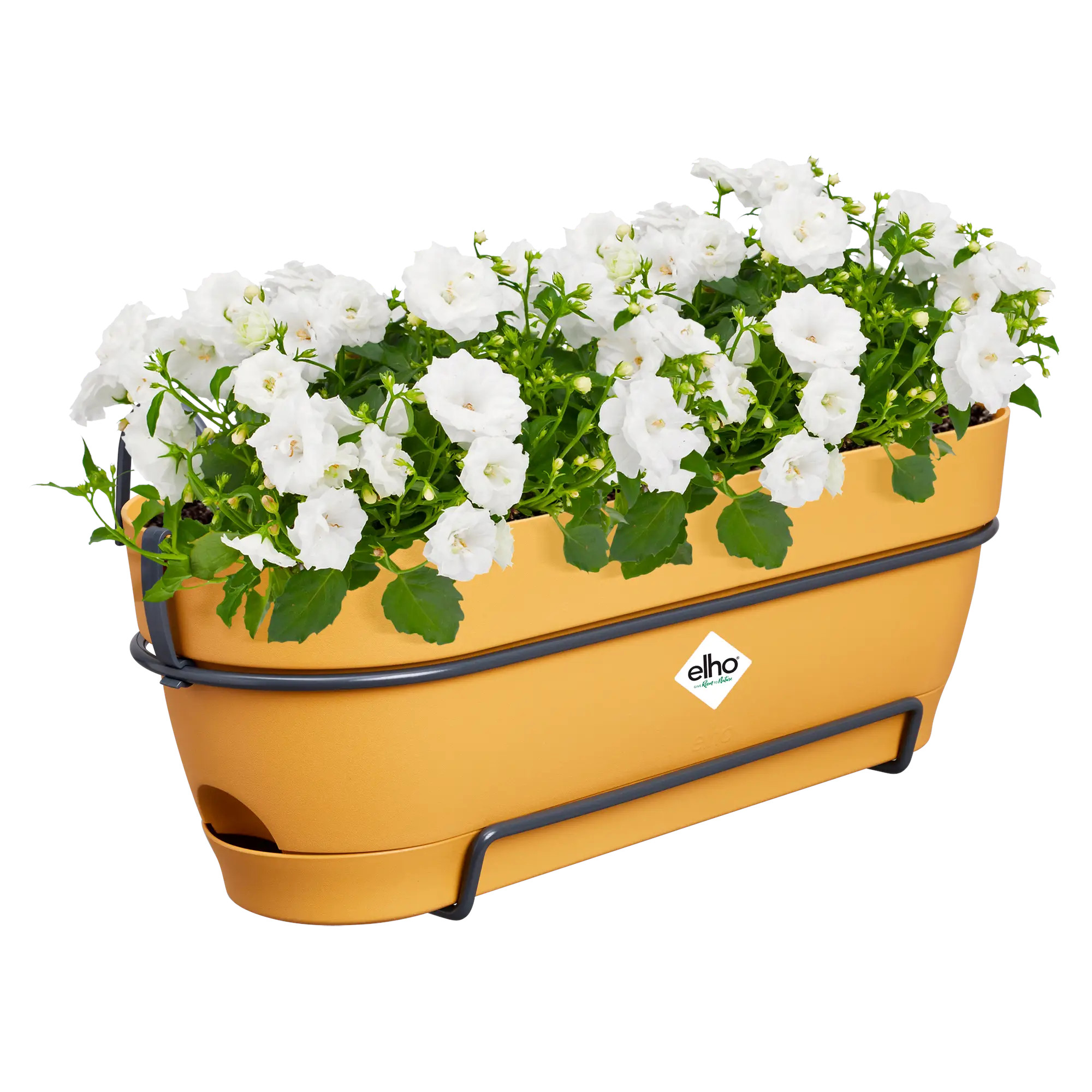 elho® Balkonkasten Vibia Campana ALLin1 50cm honig gelb