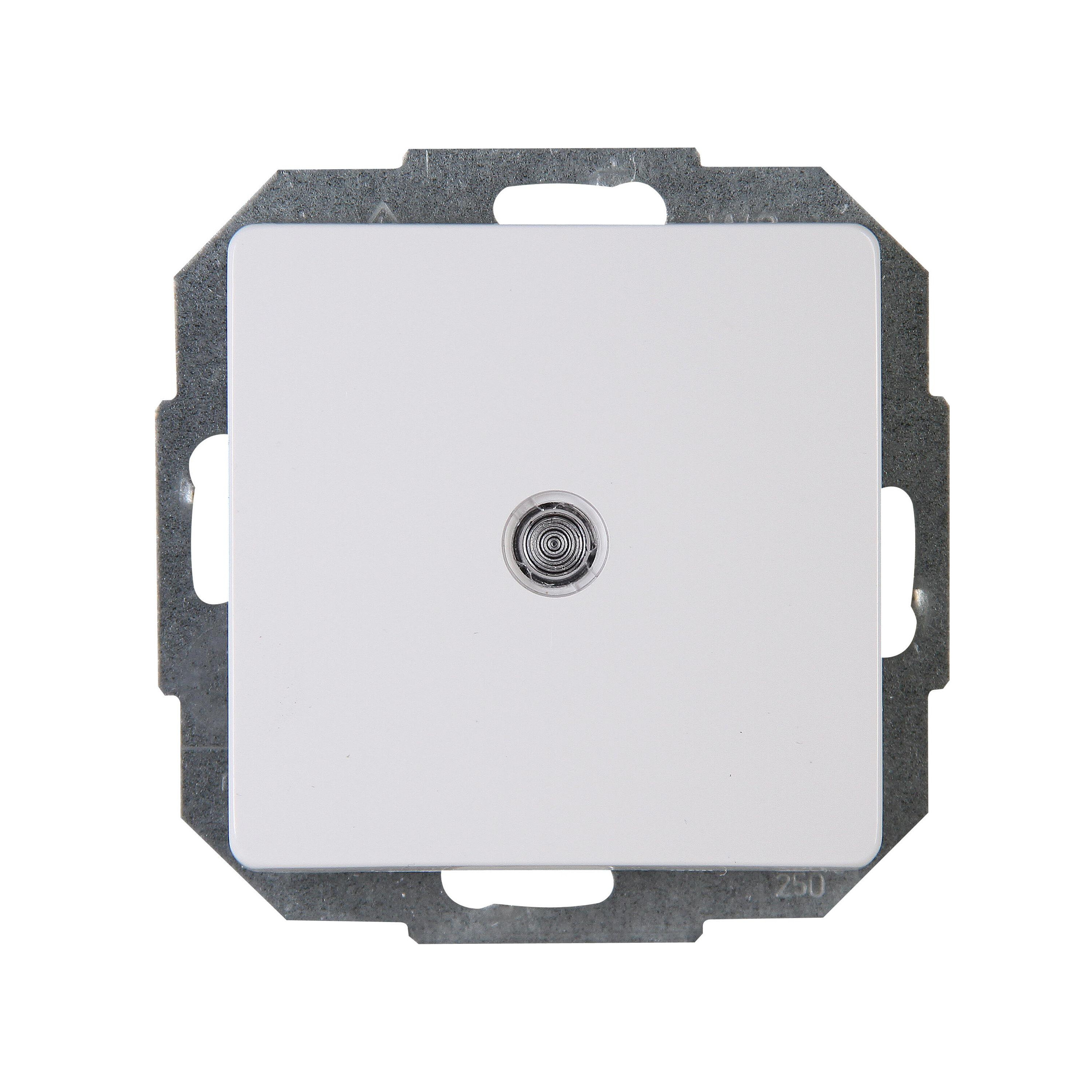 Taster beleuchtet 10AX, 250V~, PARIS, arktis