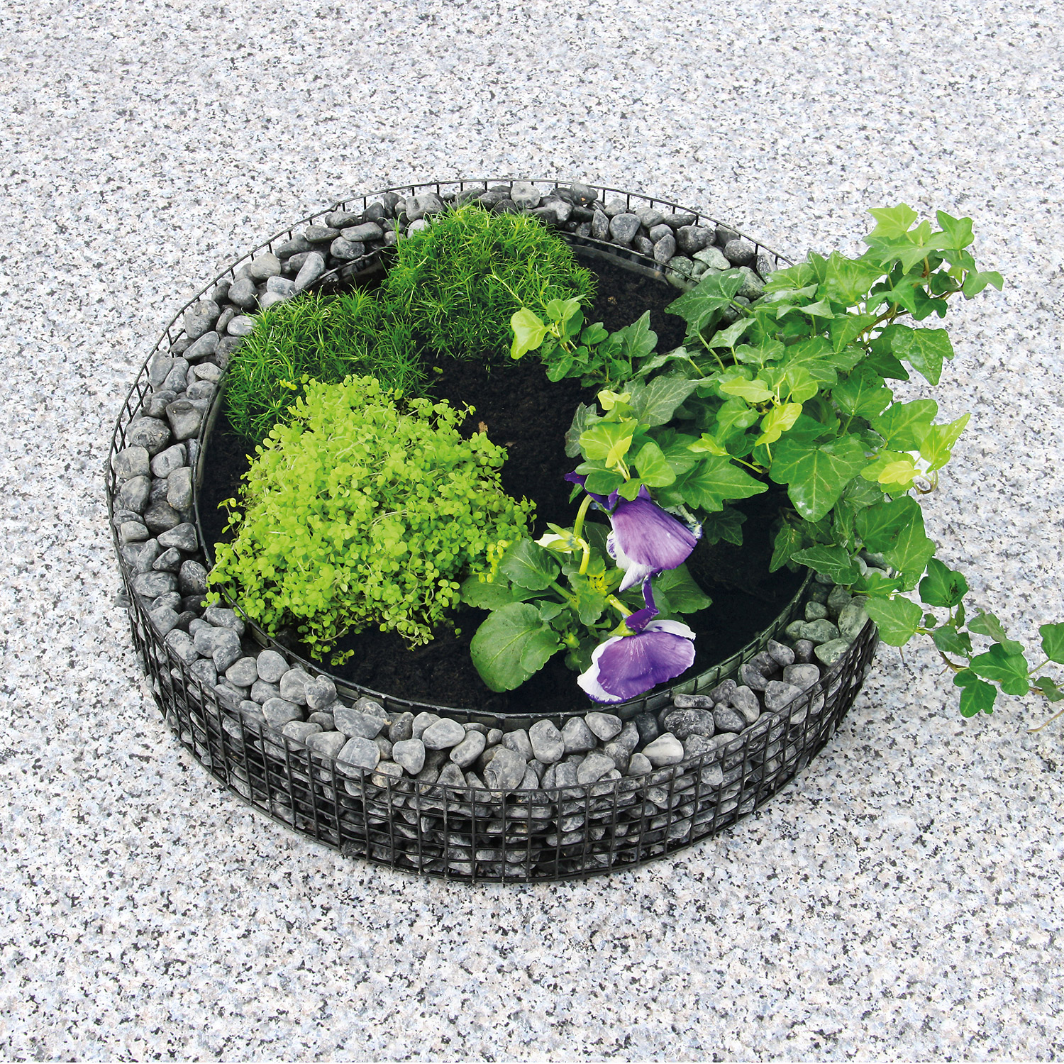Gitterform Kreis H8 Ø 38 x 8 cm Pulverbeschichtung