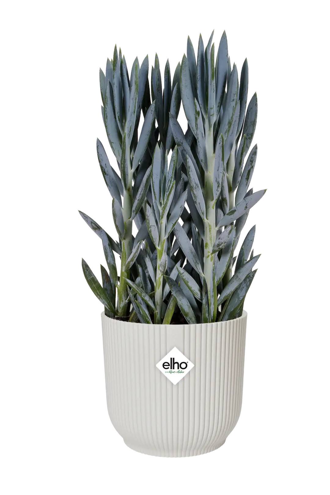 elho® Blumentopf Vibes Fold Rund Rollen 35cm seidenweiß
