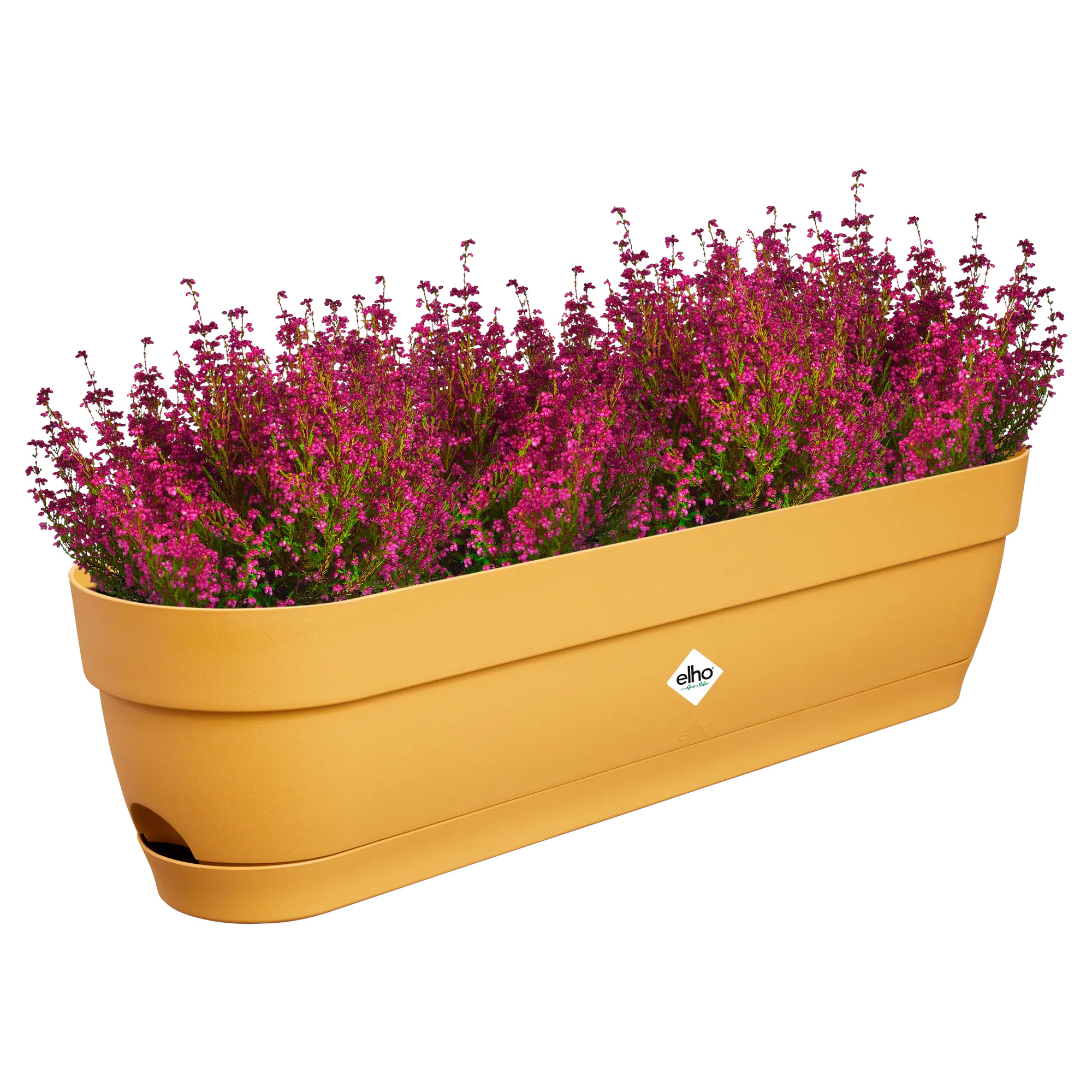 elho® Balkonkasten Vibia Campana 70cm honig gelb