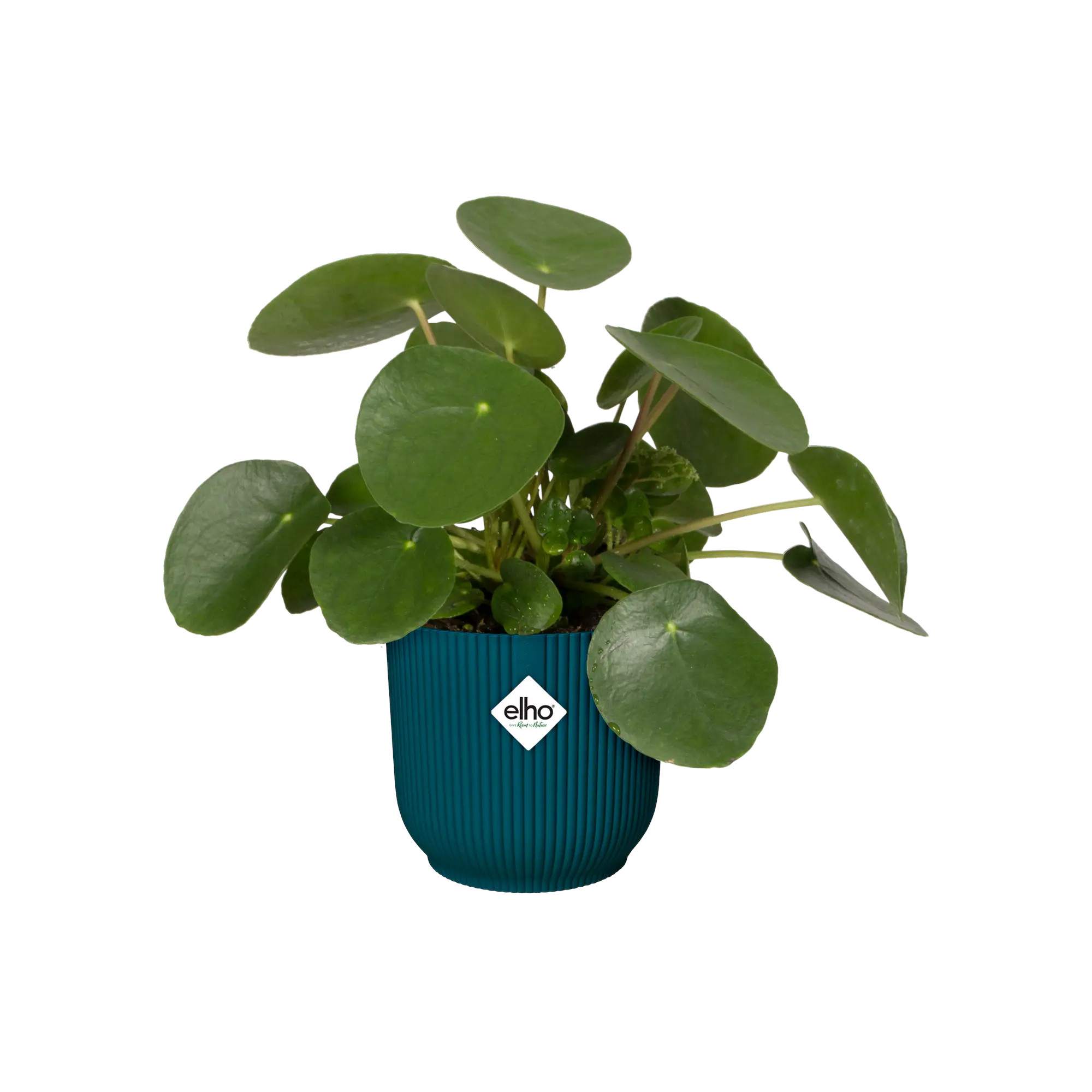 elho® Blumentopf Vibes Fold Rund 25cm tiefes blau