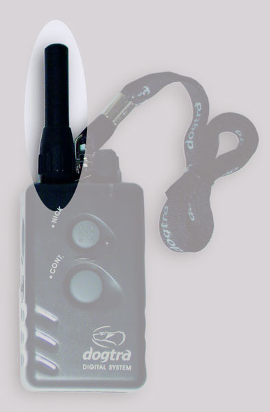 Dogtra Antenne für Stromhalsband / Funktrainer