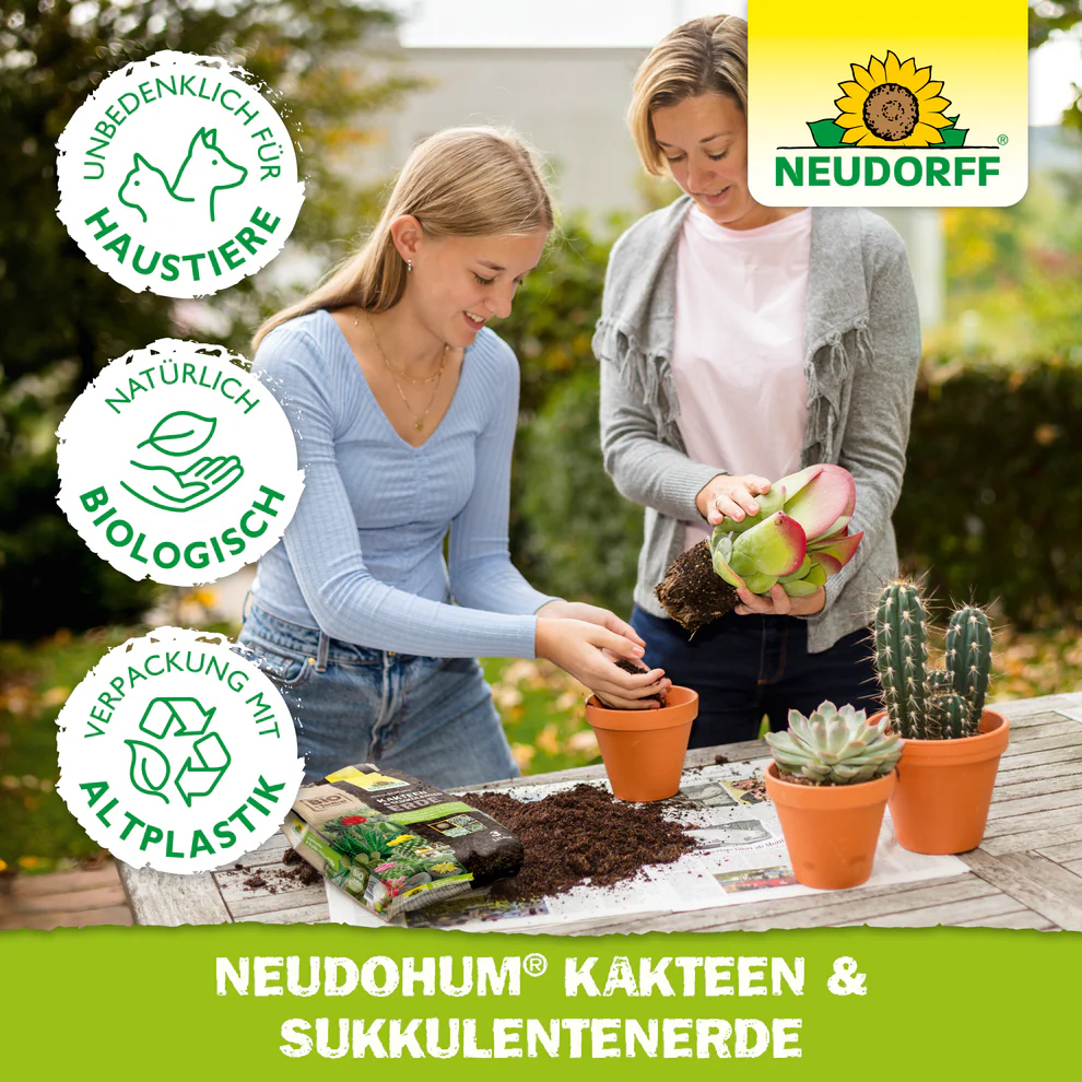 Neudo­Hum Kakteen & Sukkulenten­Erde