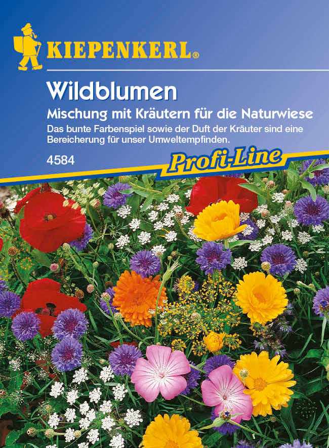 Saatgut  Wildblumen mit Kräutern, Mischung ein- und mehrjähriger Arten