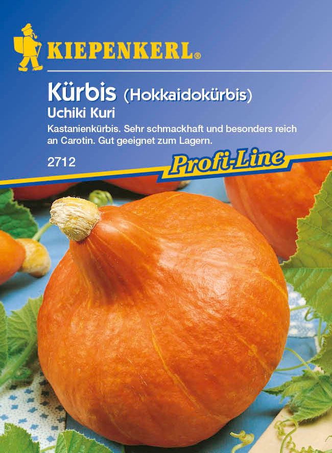 Saatgut Kürbis, Speise- Hokkaido-Kürbis 'Uchiki Kuri'