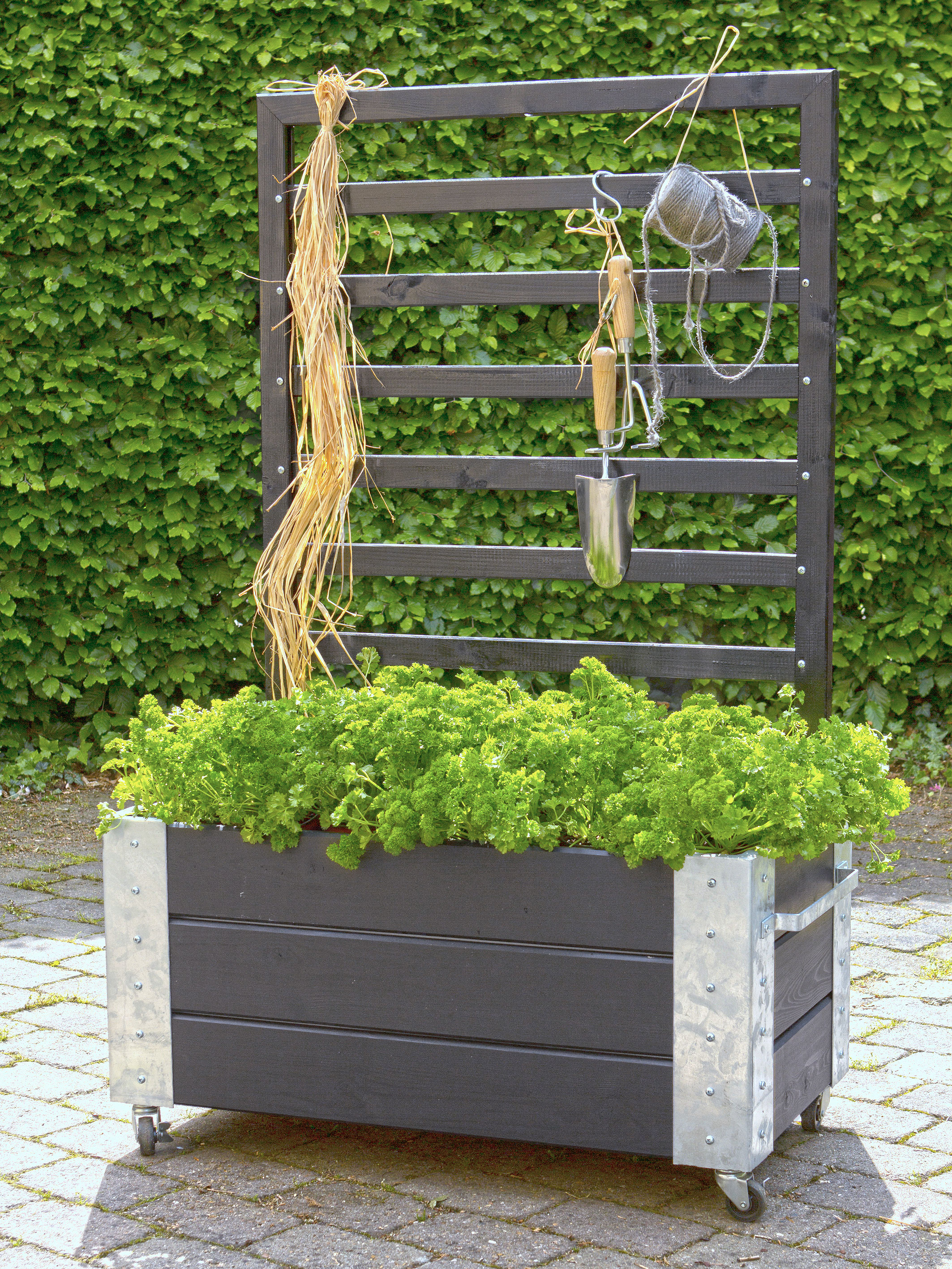 Cubic mit Rankgitter Plus 87x50x130cm Holz schwarz